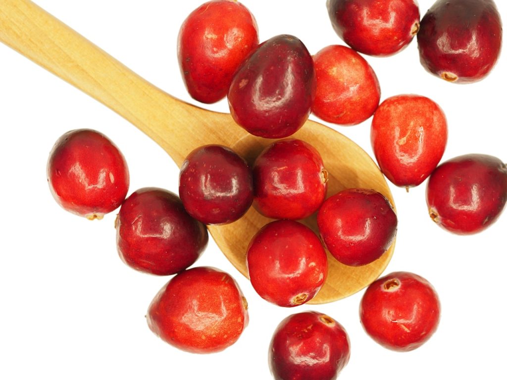 Le Cranberry pour lutter contre les infections urinaires