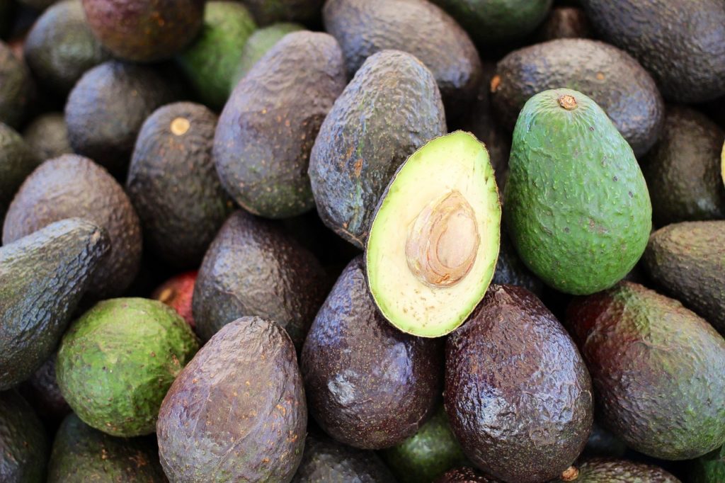 L'avocat un fruit plein de nutriments bons pour la santé