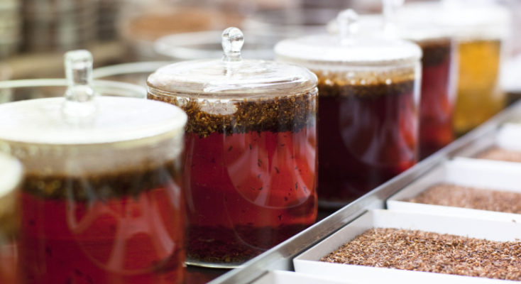 rooibos fermentation