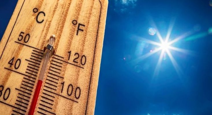 Lutter contre la canicule