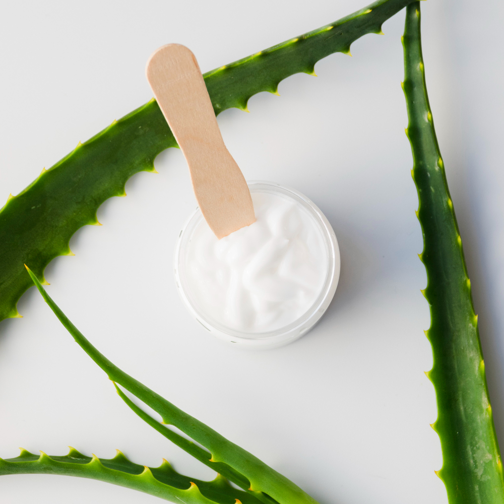 Aloe Vera pour le visage